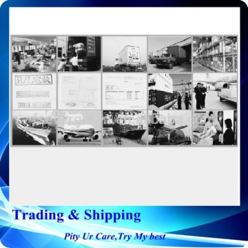 Purchasing the goods from Foshan,shipping to Valencia