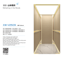 Modern Elevator Car XW V2509 Design