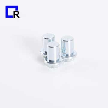 Stainless Steel Rivet Nuts