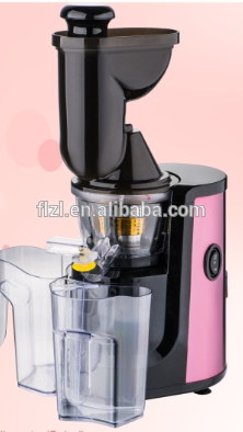 ABS plastic juicer masticating juicer