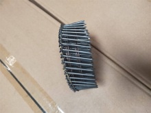 Smooth Type Coli Nails