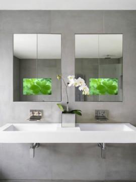 mirror bathroom tvs