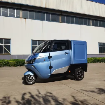 EEC Coc Ce L6e Closed Driver 3 Wheel Cargo Motorcycle