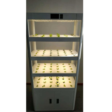 Hydroponique vertical avec aquarium pour les légumes qui poussent