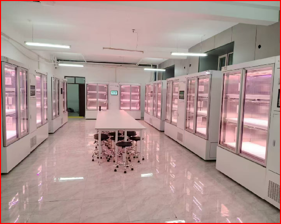 خزانة أبحاث الثقافة البيولوجية YD18GBP-B01-AK