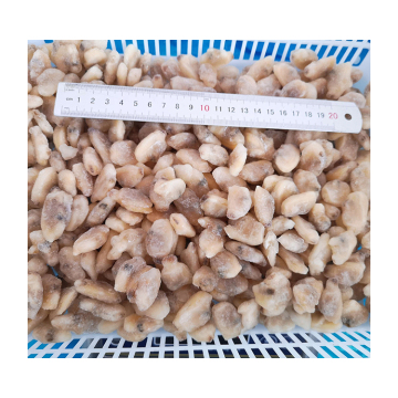New Products Fresh Vacuum Packed Clam Meat New Arrival Clam Meat For Sale