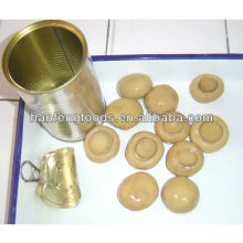 whole mushroom in can easy open lids