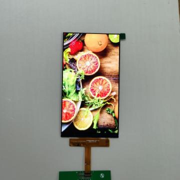 6.0 인치 TFT LCD 모듈