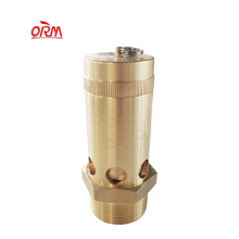 Customized Air Compressor Part: Pressure Relief Safety Valve