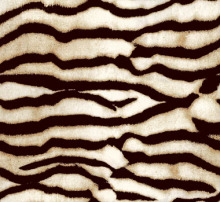 Silk Available Pirnt Artwork 35