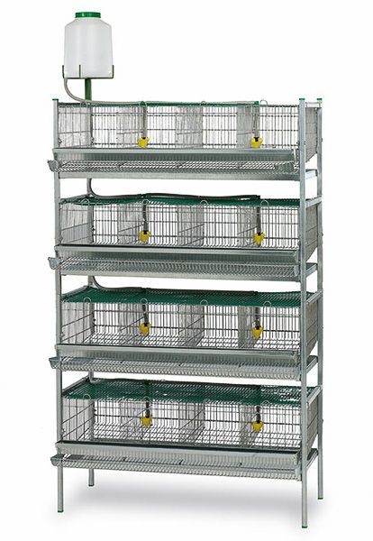 Hot Sale New Cage H TYPE Farms Bird Low Carbon Steel Wire