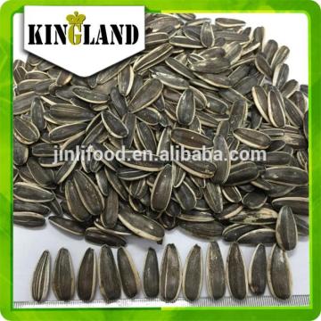 Bulk sunflower seeds in shell