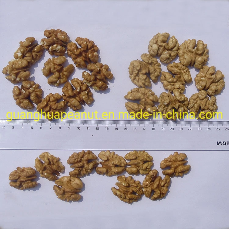 Walnut Kernel New Crop Healthy Delicous