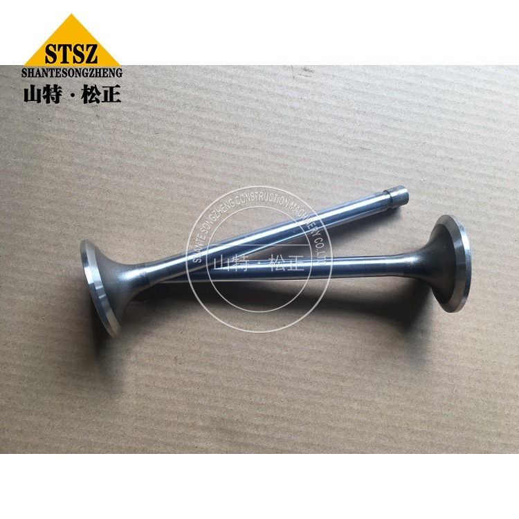 3803529 1 Jpg 3803529 1 Jpg