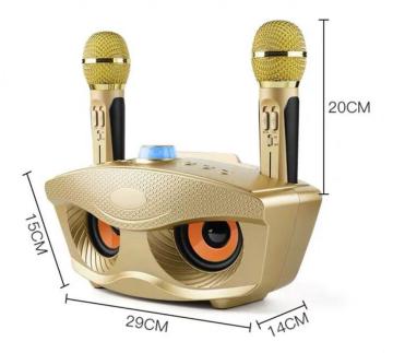 Outdoor portable bluetooth karaoke speaker