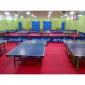 Pavimentazione del campo da ping pong