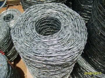 Traditional Twist Iowa Barb Wire 