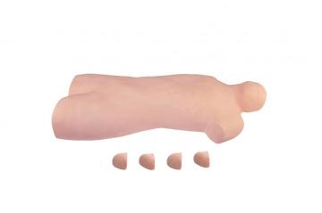 Bone Marrow Aspiration Model