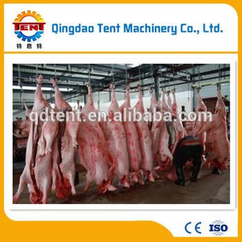 New techology 1000pig/day pig and hoge slaughtering and abbottoir butchery line