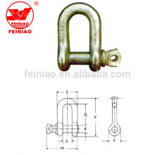 US Type Lifting Screw D Shackle