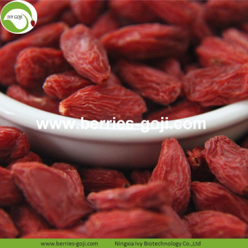 Bulk Package Natural Premium Dry Conventional Goji Berry