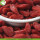 Gói hàng loạt Natural Premium Succia Goji Berry thông thường