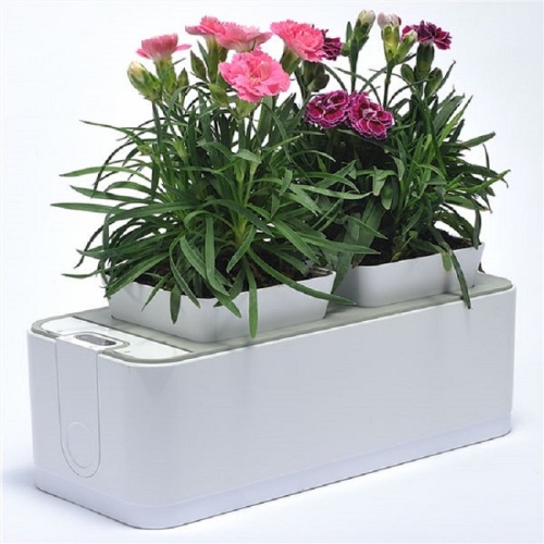 Indoor Mocle Flower Pot Grow System