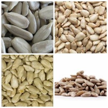 sunflower kernels chinese sunflower kernels oil