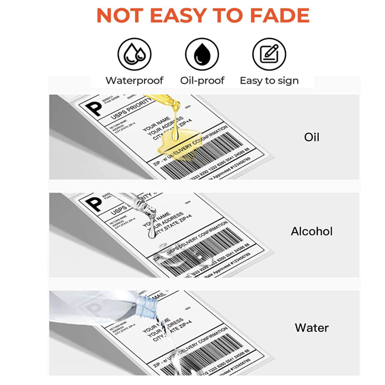 Thermal Label Paper for Freezers