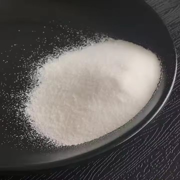 Sodium Polyacrylate Super Absorbent Polymer