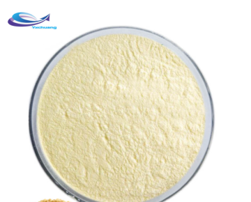 Top quality Quinoa Protein Powder