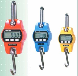 PORTABLE TYPE CRANE SCALES