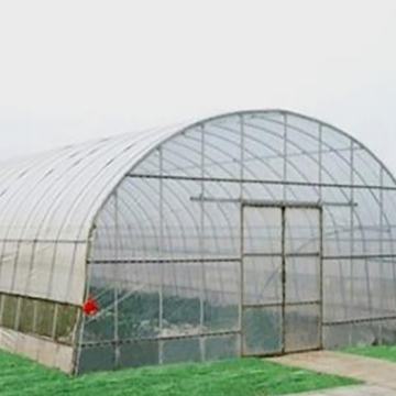 Single Span Tunnel Film Greenhouse