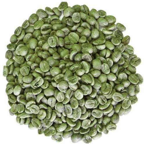 Califique un grano de café verde Arábica