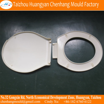 The toilet seat mould