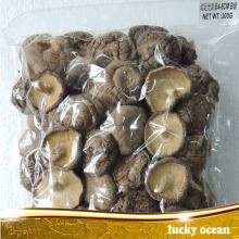 3-4cm dried smooth mushroom A grade