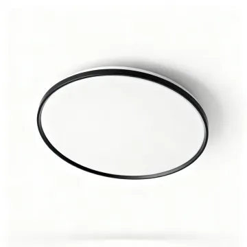 Modern Indoor Ceiling Light