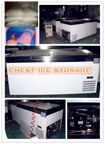 chest ice storage freezer