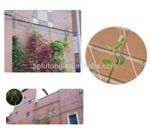 Wire mesh for growing plants/Decorative wall plants mesh