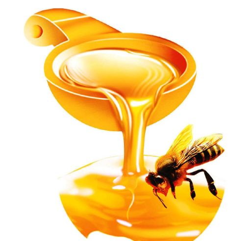 hot sale natural organic liden bee honey