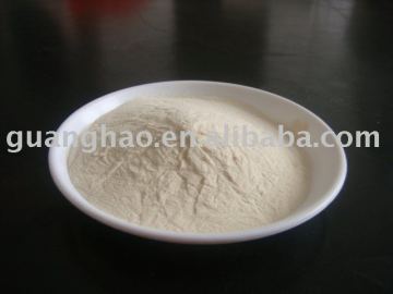 High density chitosan 2012-5