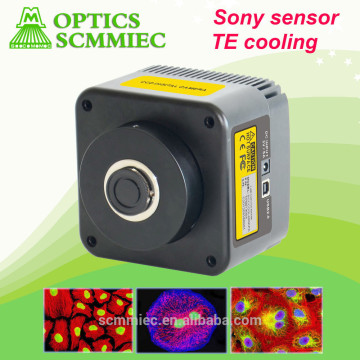 SC-CCD semiconductor cooling Sony sensor digital color cooled CCD Camera