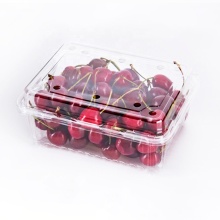 Disposable Transparent PET Clamshell Fruit Containers - RPET Fruit Packaging Boxes
