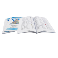 High-Quality 90lb Cover Sewing and Binding Booklet Printing with Free Samples