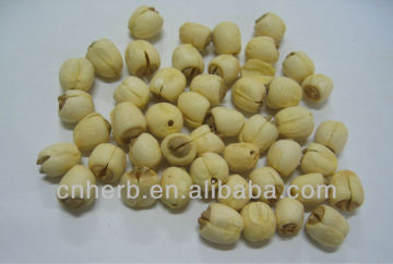 Dried White lotus seed with plumule removed,Qu xin lian zi,Lotus seeds