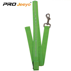 Hi Vis Safety Reflekterande Green Pets Leashes