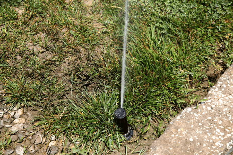 Lawn irrigation