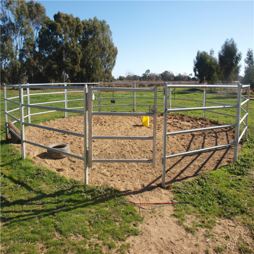 Galvaniserad Pipe Horse Fence Panel Fence Horse