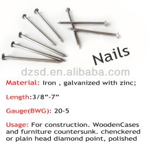 high quality 2 inch common nails / pure iron nails / wire nails manufacture in china