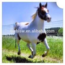 China supplier used horse stalls